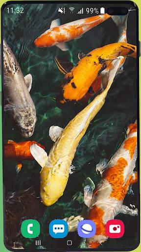 Fish Wallpaper HD screenshot 4