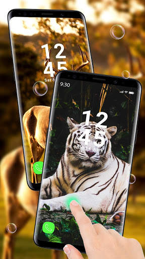 Cute Animal APUS Live Wallpaper screenshot 2