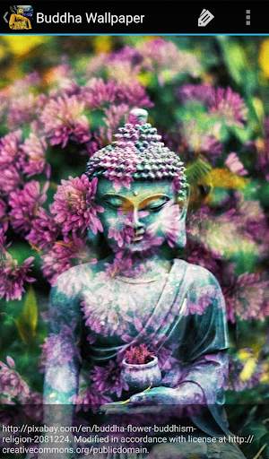 Buddha Wallpaper screenshot 5