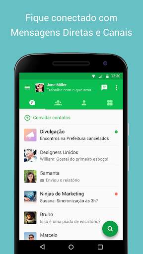 Flock screenshot 1