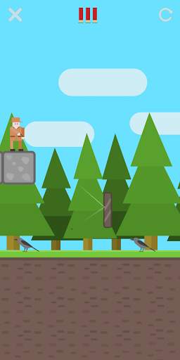 Hunter and Birds - arcade game स्क्रीनशॉट 1
