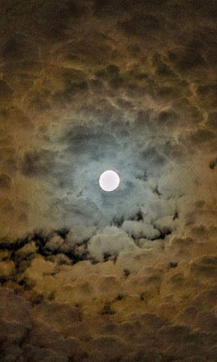 Moonlight Live Wallpaper : backgrounds hd screenshot 2