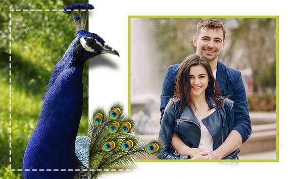 Peacock Photo Frames screenshot 1