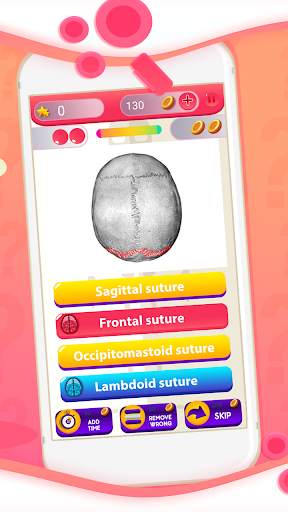 Human Anatomy And Physiology Quiz screenshot 4