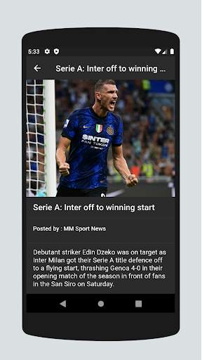 King Sports screenshot 3