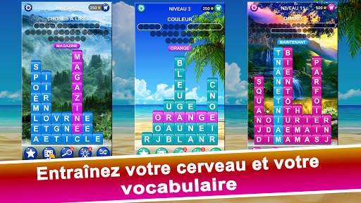 Pile De Mots : Recherche Mots screenshot 4