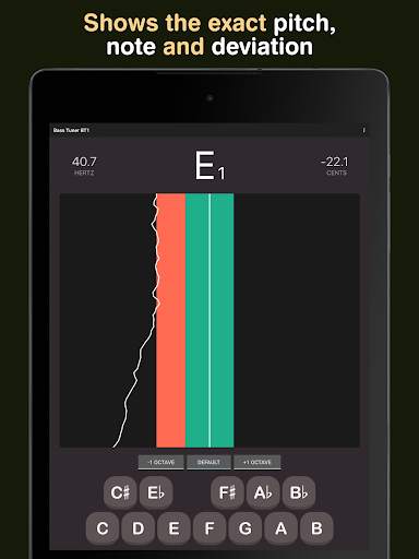 Bass Tuner BT1 screenshot 9
