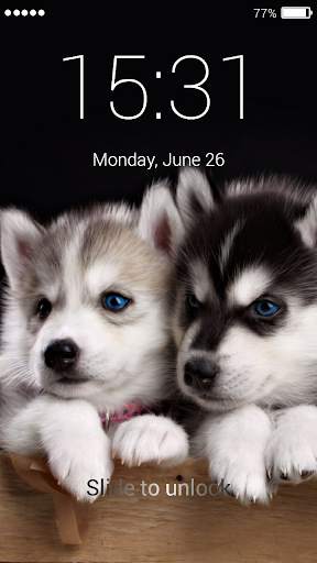 Husky Lock Screen 5 تصوير الشاشة