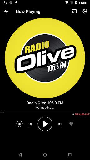 Hindi FM Radio HD Live- Podcasts, Hindi Live News screenshot 4