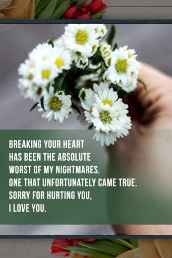 Sorry Cards and Apology Messages screenshot 1