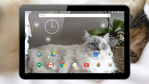 Cats Live Wallpaper screenshot 14