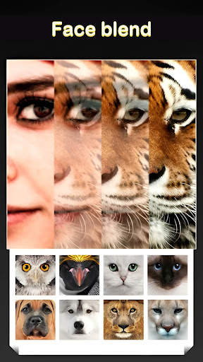 Beauty Face Plus :  face morph screenshot 1