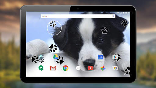 Puppy Live Wallpapers screenshot 12