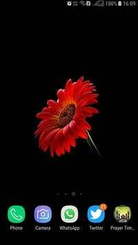 HD Background Flower Wallpaper screenshot 6