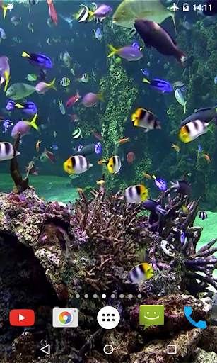 Aquarium 4K Video Wallpaper screenshot 1