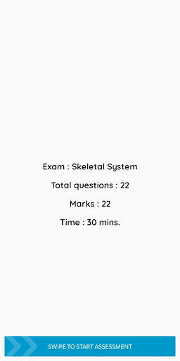 Assessment screenshot 3