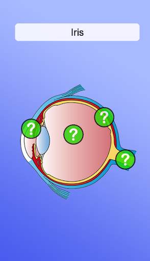 Anatomie Spiel screenshot 4