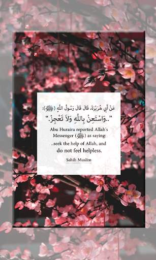 Islamic Truth Quotes screenshot 14