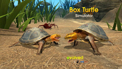 Box Turtle Simulator screenshot 1