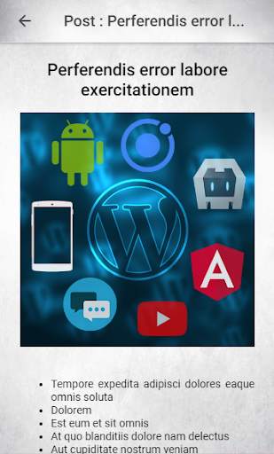 Delhi Developer WordPress Bloggers Mobile App Demo screenshot 6