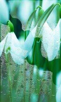 Snowdrops Live wallpaper screenshot 3