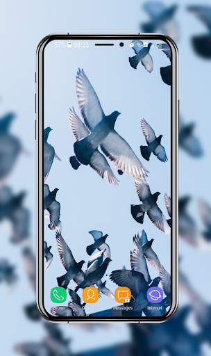 New Pigeon Wallpaper screenshot 10