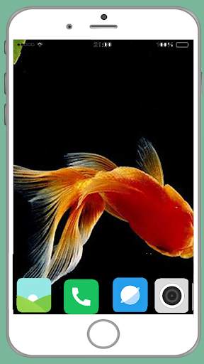 Fish Full HD Wallpaper 2 تصوير الشاشة