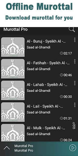 Murottal Pro - Recitation, Al Quran, Mp3 screenshot 6