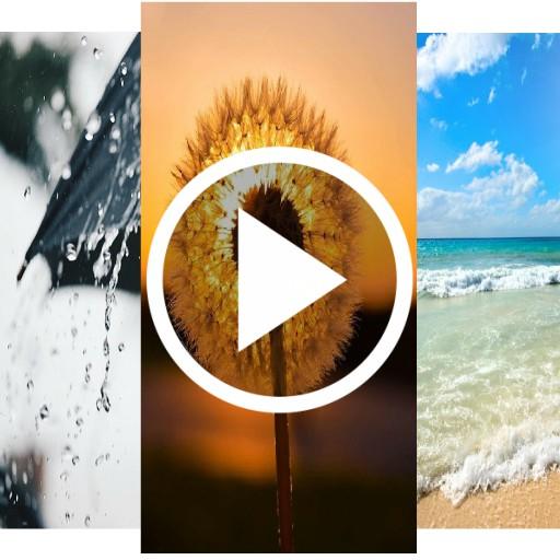 Nature Video Live Wallpaper icon