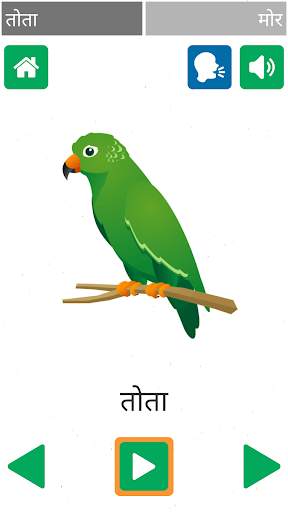 Hindi Pathshala 14 تصوير الشاشة