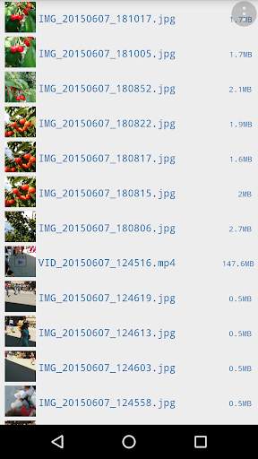 My Files screenshot 2