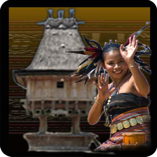 Dansa Timor 1.0