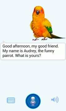 Funny Talking Parrot screenshot 8