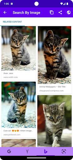 Search By Image screenshot 5