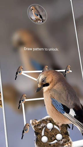 Jay Bird Theme स्क्रीनशॉट 4