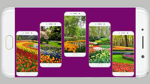 Garden Wallpaper HD screenshot 2
