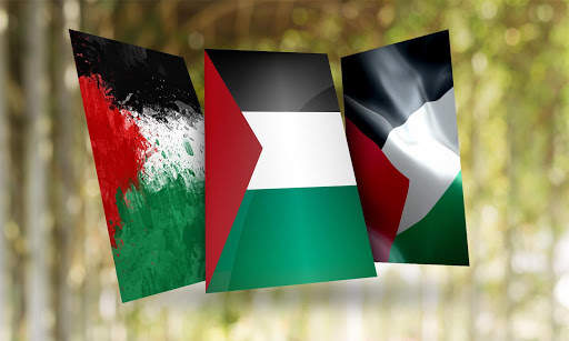 Palestine Flag Wallpaper screenshot 1