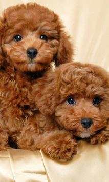 Dog Cute Photo Jigsaw Puzzle Game Free screenshot 1