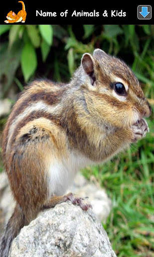 Animal Sounds for Kids Lite screenshot 4
