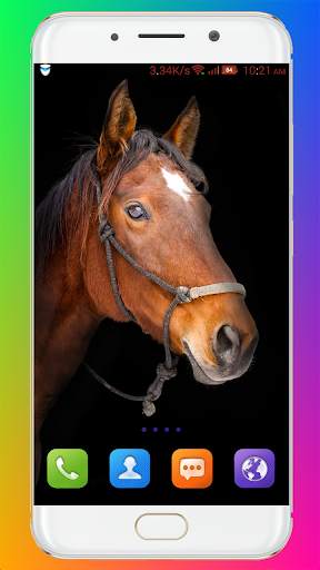 Horse Wallpaper HD screenshot 15