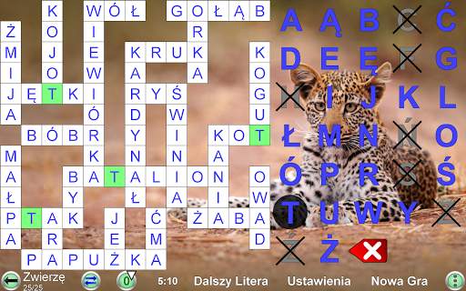 Kodowe Słowo Krzyżówka screenshot 24