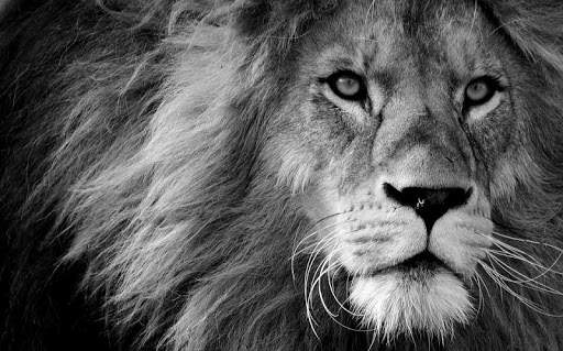 Historias Motivacionales 9 تصوير الشاشة