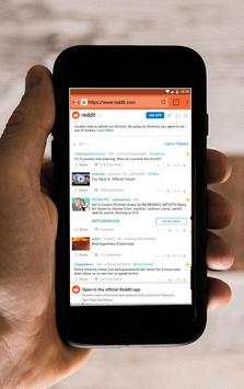 Fleava Browser screenshot 2