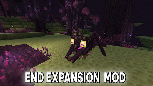 End Expansion Mod Minecraft PE screenshot 2