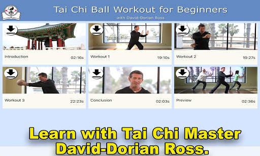 Tai Chi Ball Beginner screenshot 10