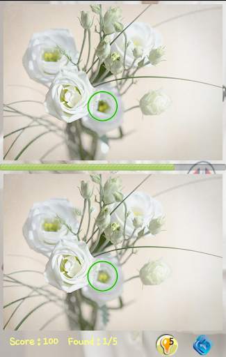 Find Differences Level 16 screenshot 2