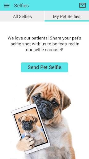 Pacific Animal Hospital MO screenshot 4