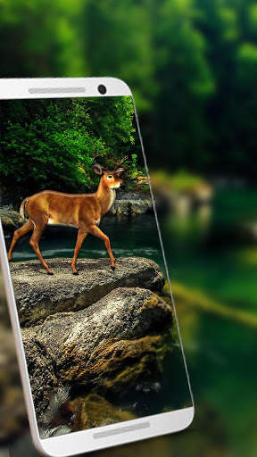 White Deer 3D Live wallpaper screenshot 1