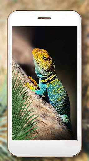 Lizards Live Wallpaper screenshot 6