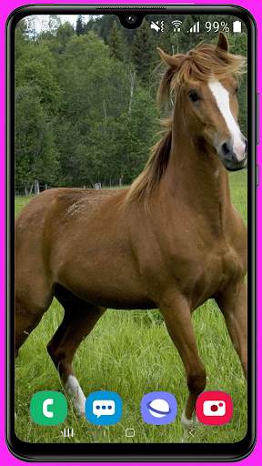 Horse Wallpaper Best HD screenshot 15